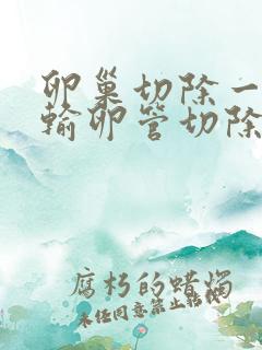 卵巢切除一侧和输卵管切除有什么影响吗