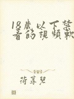 18岁以下禁止看的视频软件