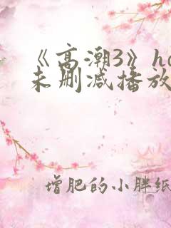 《高潮3》hd未删减播放