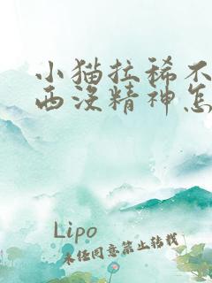 小猫拉稀不吃东西没精神怎么办