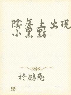 阴唇上出现一个小黑点