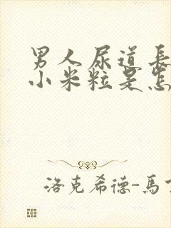 男人尿道长小肉小米粒是怎么回事