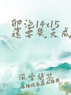 卵泡14x15还要几天成熟