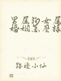 男属狗女属鼠的婚姻怎么样