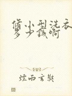 修小型洗衣机得多少钱啊