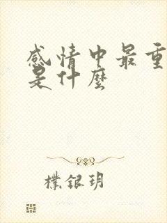 感情中最重要的是什么