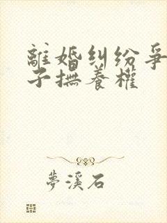 离婚纠纷争夺孩子抚养权