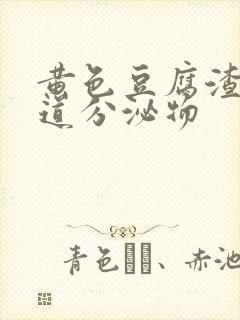 黄色豆腐渣状阴道分泌物