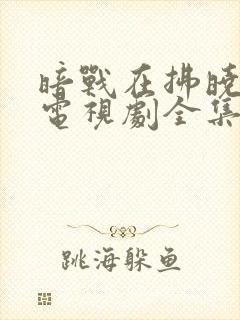 暗战在拂晓之前电视剧全集免费观看