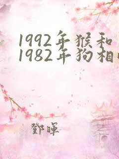 1992年猴和1982年狗相配吗婚姻