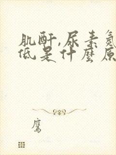 肌酐,尿素氮偏低是什么原因