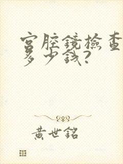 宫腔镜检查费用多少钱?