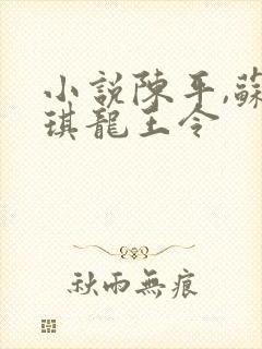 小说陈平,苏雨琪龙王令