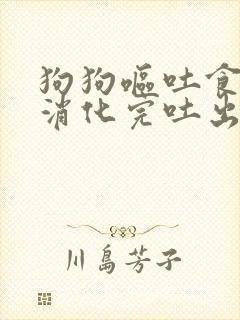 狗狗呕吐食物没消化完吐出来怎么办