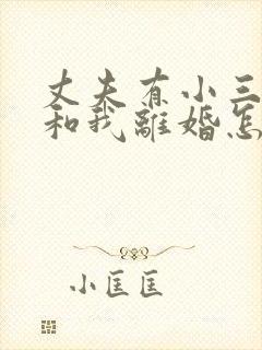 丈夫有小三了要和我离婚怎么办