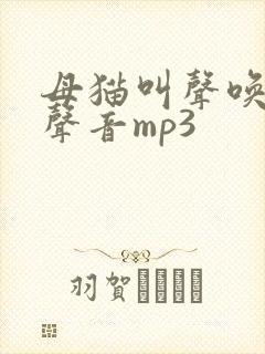 母猫叫声唤小猫声音mp3