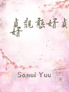 贞观憨婿贞观憨婿