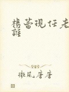 杨蕾现任老公是谁