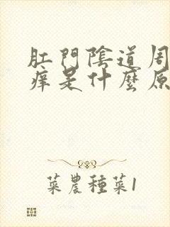 肛门阴道周围瘙痒是什么原因导致