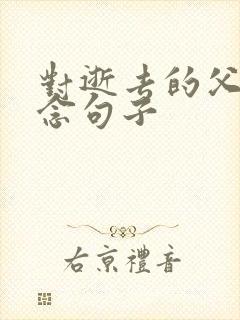 对逝去的父亲思念句子