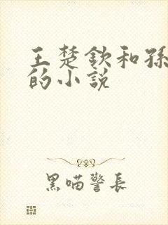 王楚钦和孙颖莎的小说