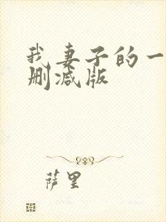 我妻子的一切未删减版