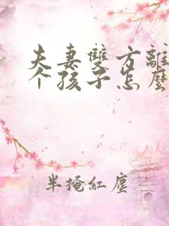 夫妻双方离婚两个孩子怎么判决