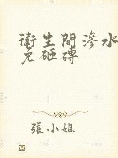 卫生间渗水补漏免砸砖