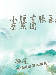 小腹有胀气是什么原因