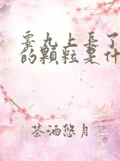 睾丸上长了白色的颗粒是什么