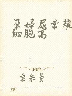 孕妇尿常规上皮细胞高