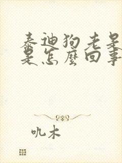 泰迪狗老是呕吐是怎么回事