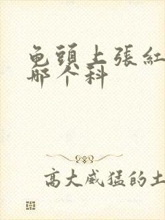 龟头上张红点挂哪个科