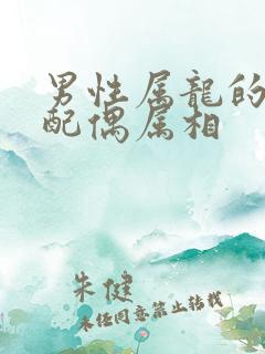 男性属龙的最佳配偶属相