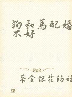 狗和马配婚姻好不好