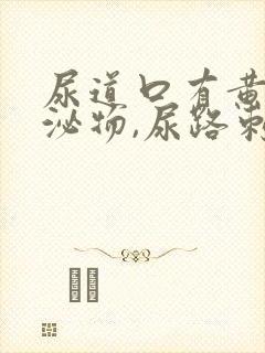 尿道口有黄色分泌物,尿路刺痛