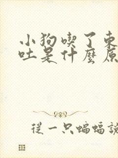 小狗吃了东西呕吐是什么原因