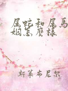 属蛇和属马的婚姻怎么样