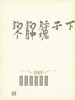 狗狗脖子下面有个肿块