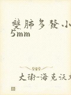 双肺多发小结节5mm