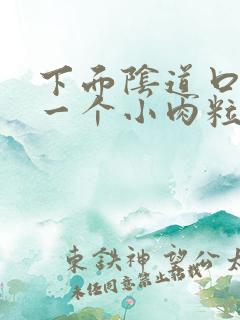 下面阴道口长了一个小肉粒