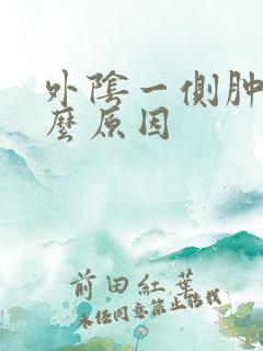 外阴一侧肿痛什么原因