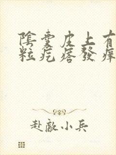 阴囊皮上有小米粒疙瘩发痒