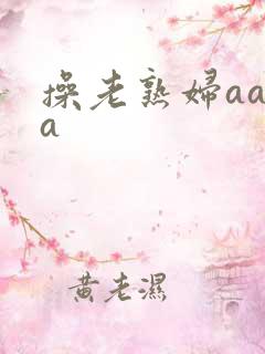 操老熟妇aaaa