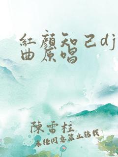 红颜知己dj歌曲原唱