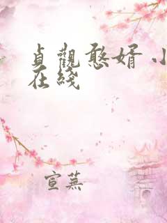 贞观憨婿 小说在线