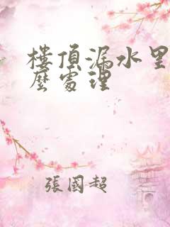 楼顶漏水里面怎么处理