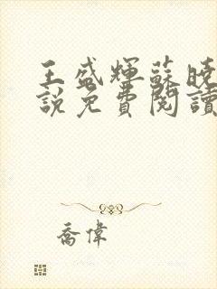 王盛辉苏晓薇小说免费阅读全文最新章节