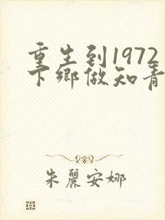 重生到1972下乡做知青小说