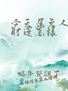 今天属兔人打牌财运怎样